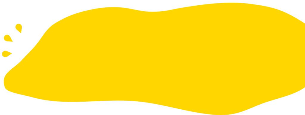 zoom projet